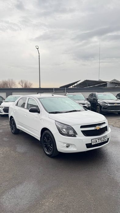 Cobalt midnight mcm fulli