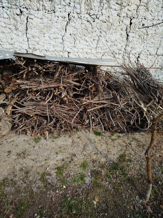 Oʻtin sotiladi oʻtin