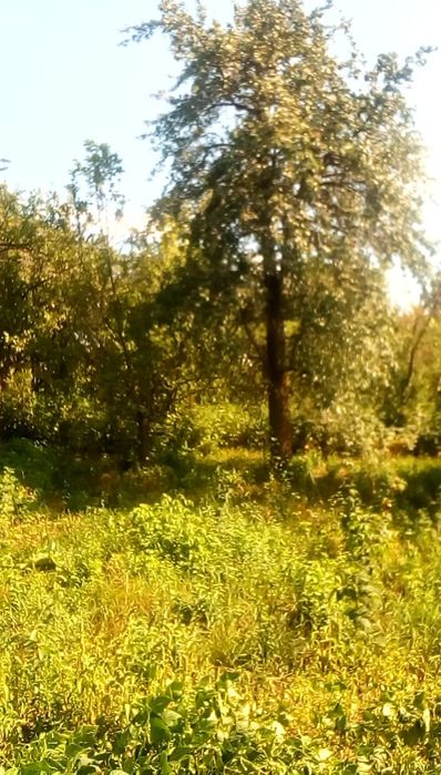 Продам дом в с. Коныр