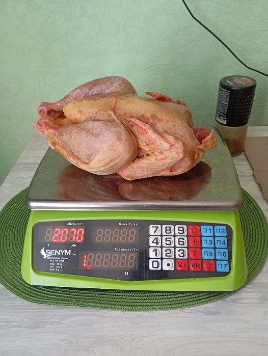 Продам бройлеров