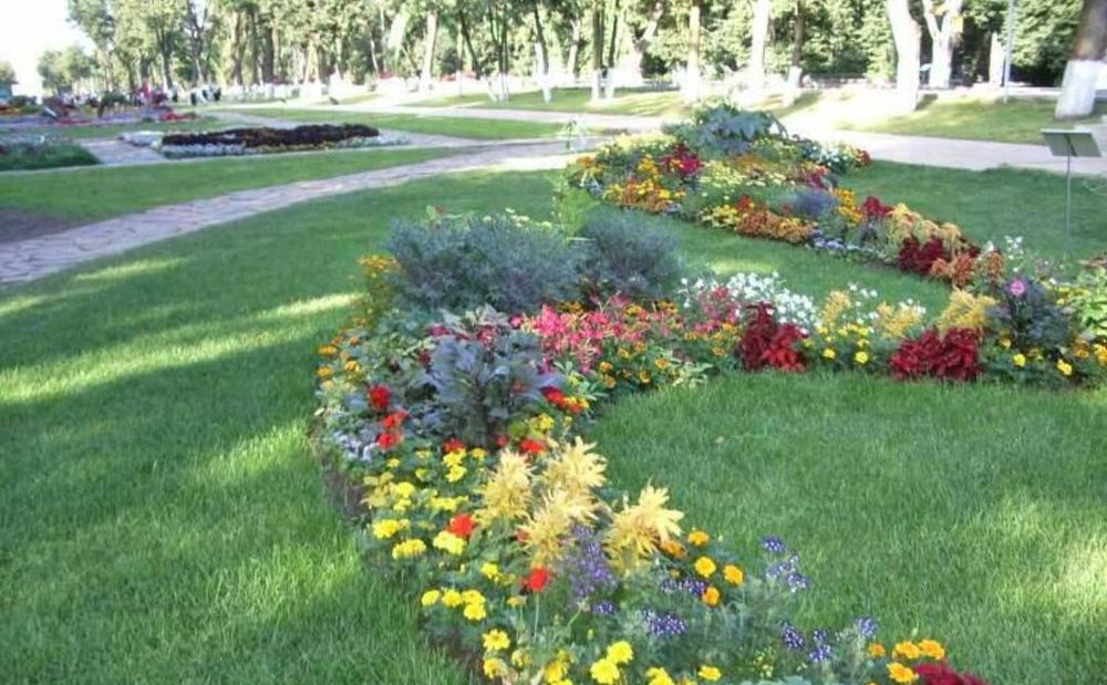 Archa.Gazon.Gullar.Daraxtlar