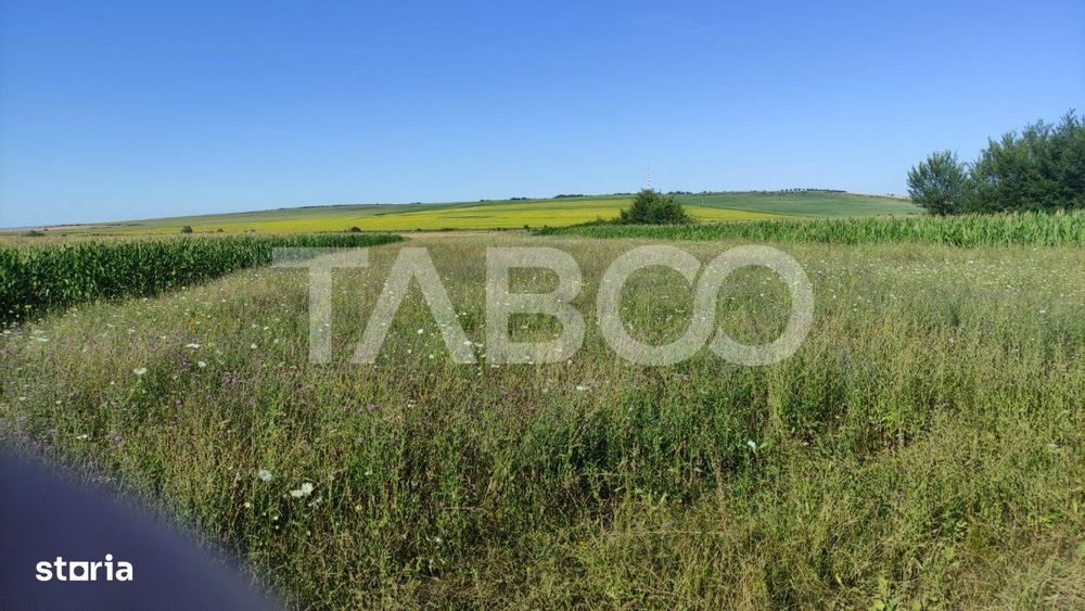 Teren extravilan de vanzare 25920 mp in Sura Mica Sibiu