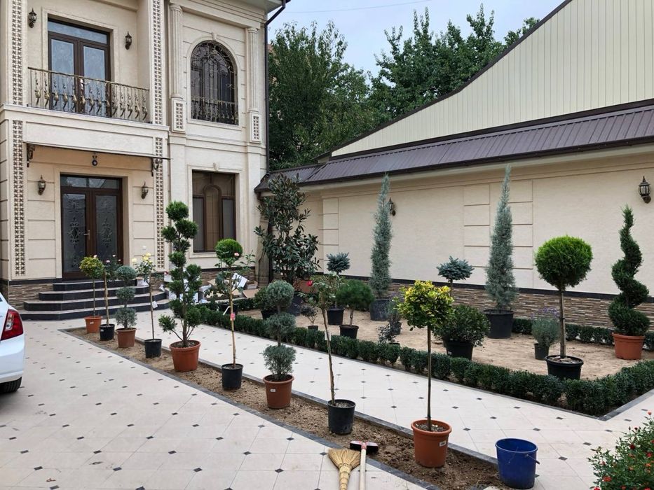 Газоны ландшафтной дизайн