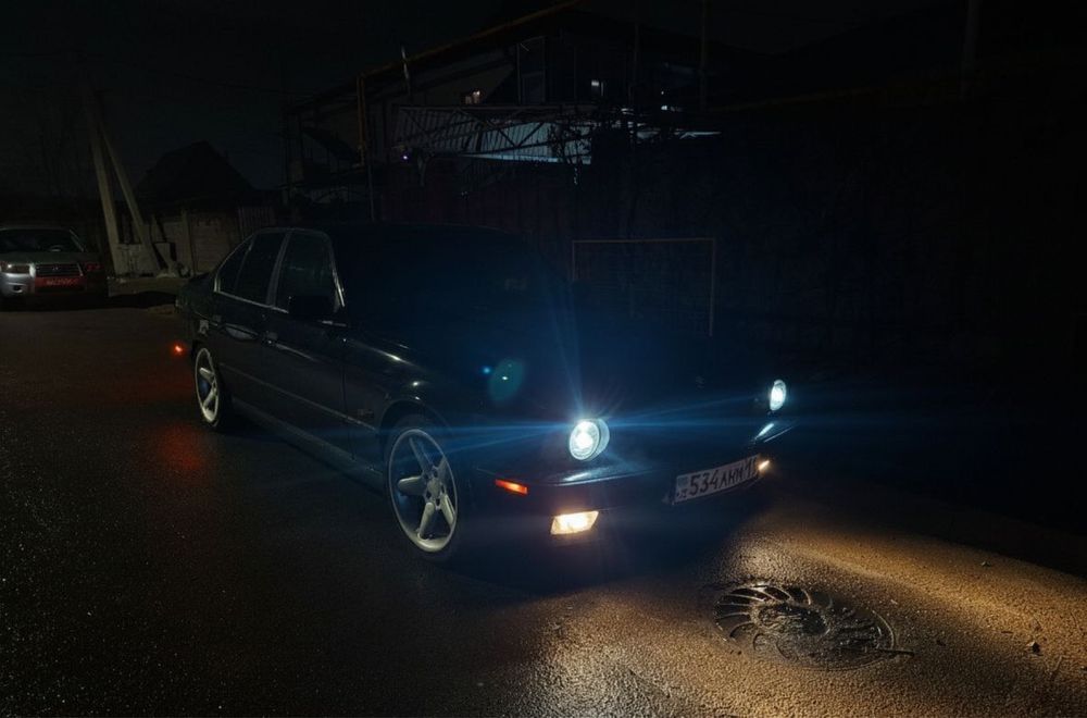 Диски шницер тип 2