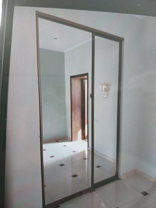 Зеркальные двери