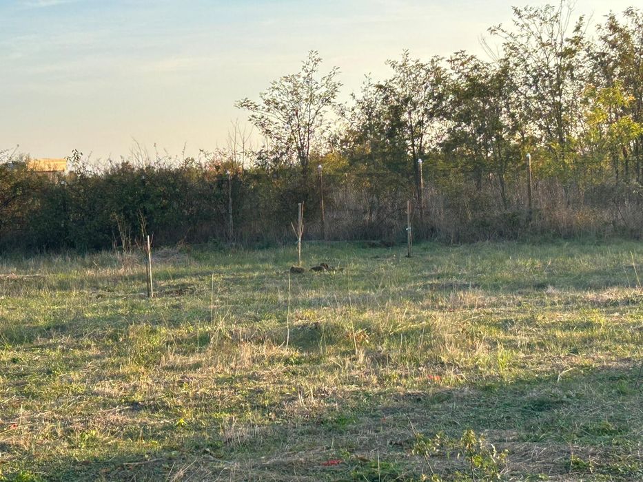 Vând teren 1000 mp (920 mp utili ) Utilități pe parcela