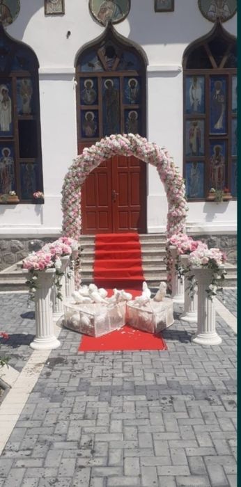 Porumbei pentru evenimente nunti