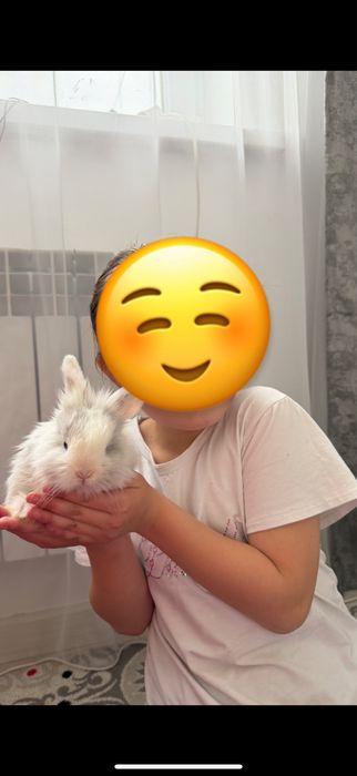 Продается декоративные кролики