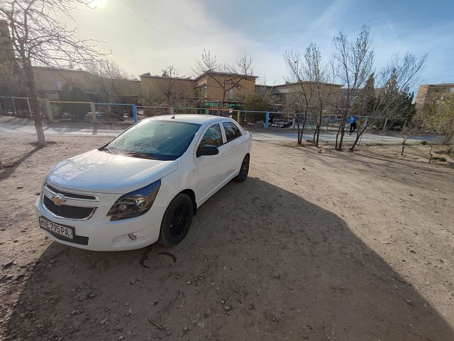 Cobalt 2025 midnight