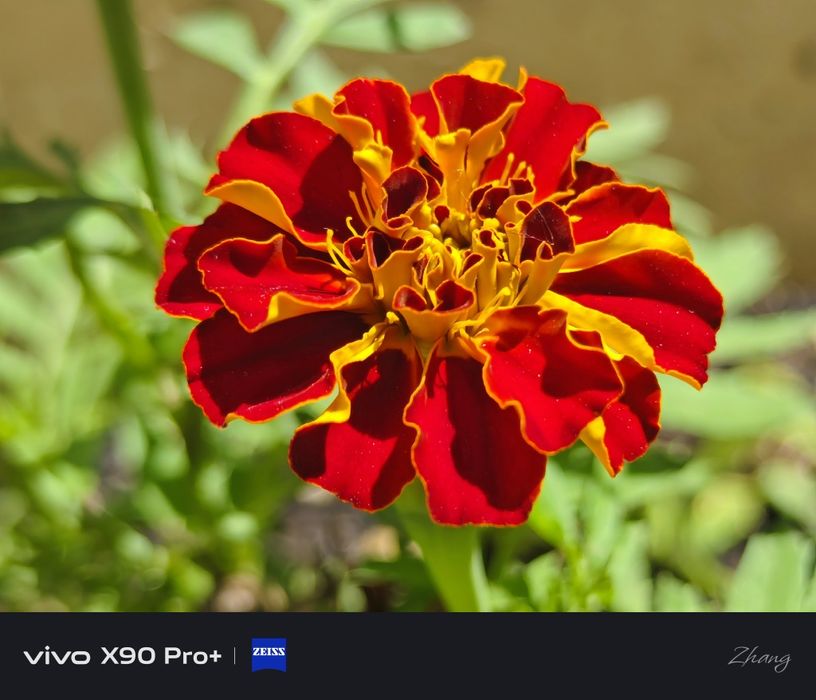 Продам Vivo X90 pro+