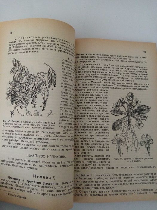 Фитотерапия лечение с билки.Антикварен справочник на бълг курорти и др