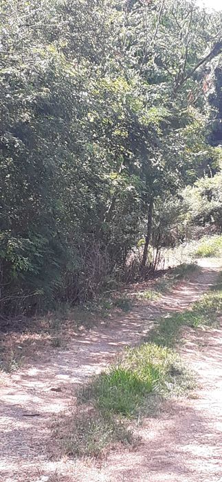 Продава парцел в регулация