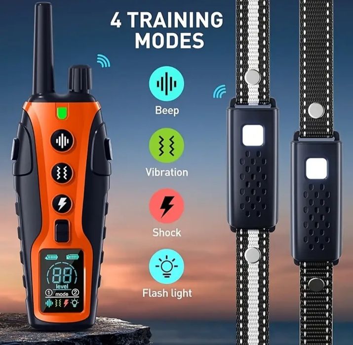 Ошейник для дрессировки