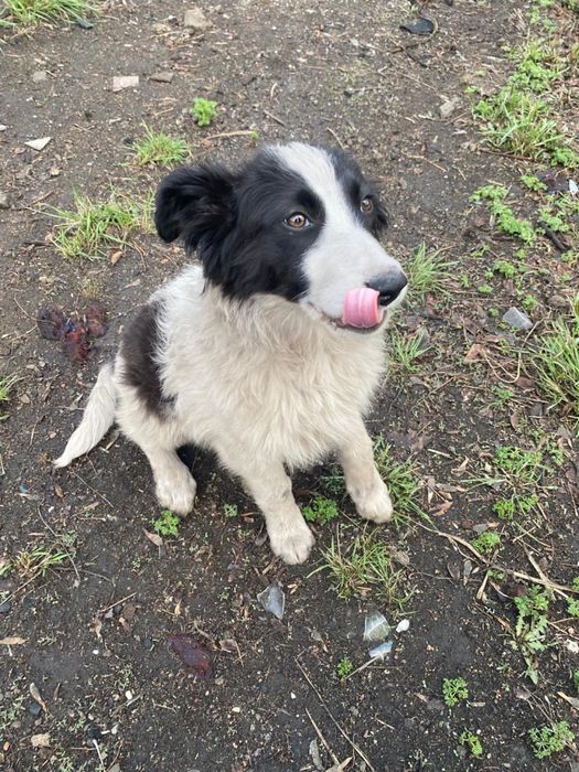 Девочка 5 месяцев. В добрые ручки