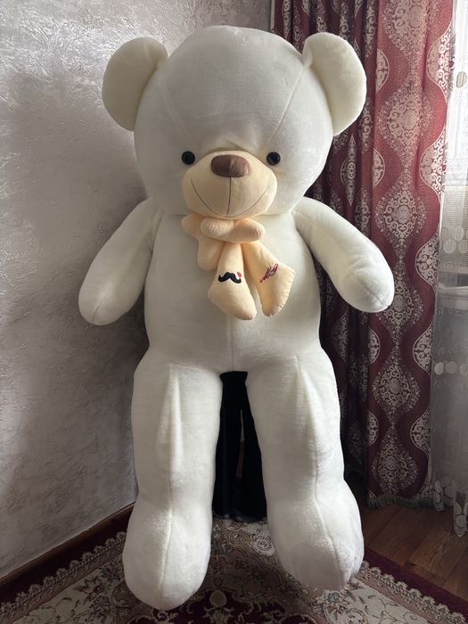 Большая мишка новая
