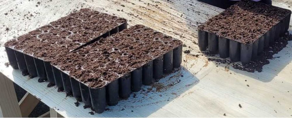 Recipiente de crestere (Containere) -HIKO V-150,  35x22x10 cm, 210 buc