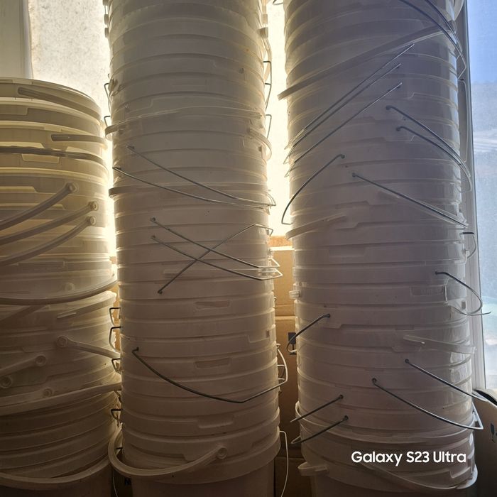 Майонез шелектері