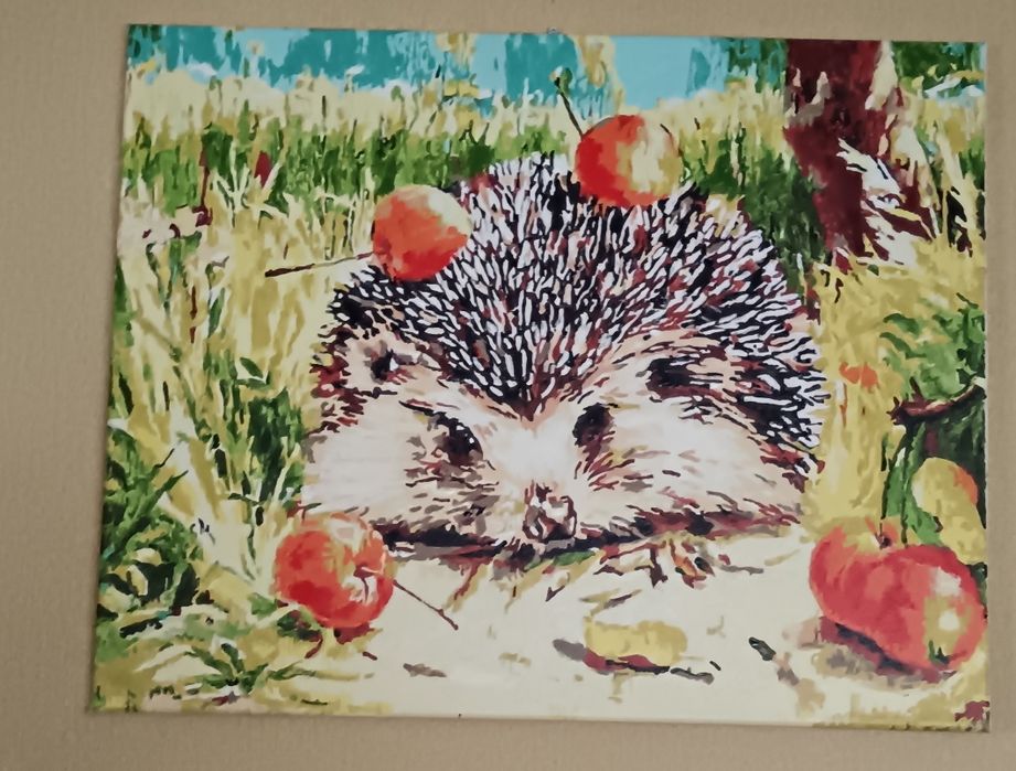 Картины по номерам 5000