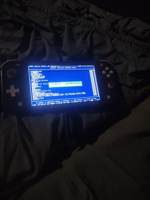 Switch lite прошитый