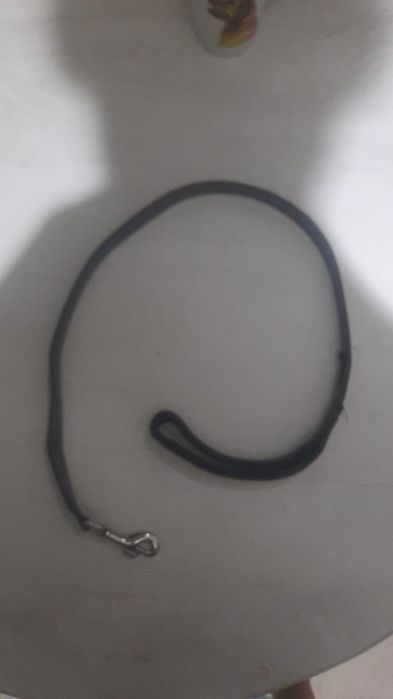 Продам для собаки