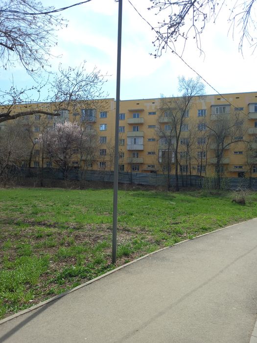 1 комнатная  квартира