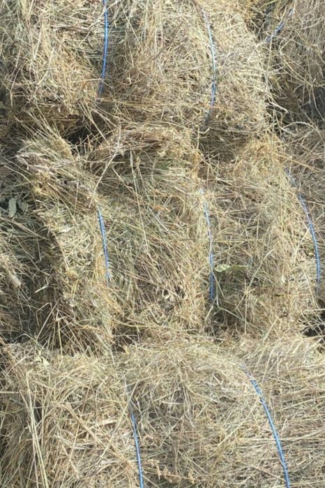 Baloti de fan de vanzare