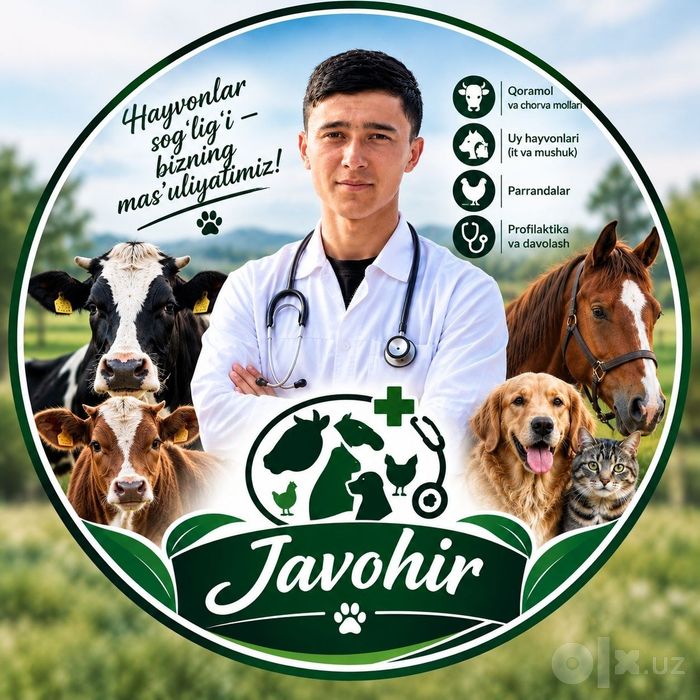 Veterinariya xizmati
