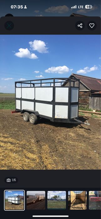 КОНЕВОЗ Скотовоз  Грузоперевозки ! 4,65ш1.7