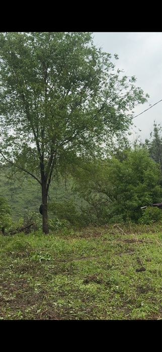 Приму чистый грунт на участок
