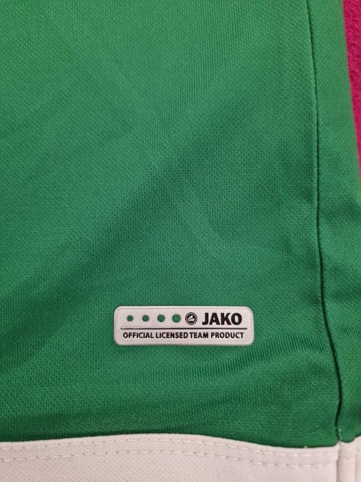 FC St Gallen 1879-2017/18 Home