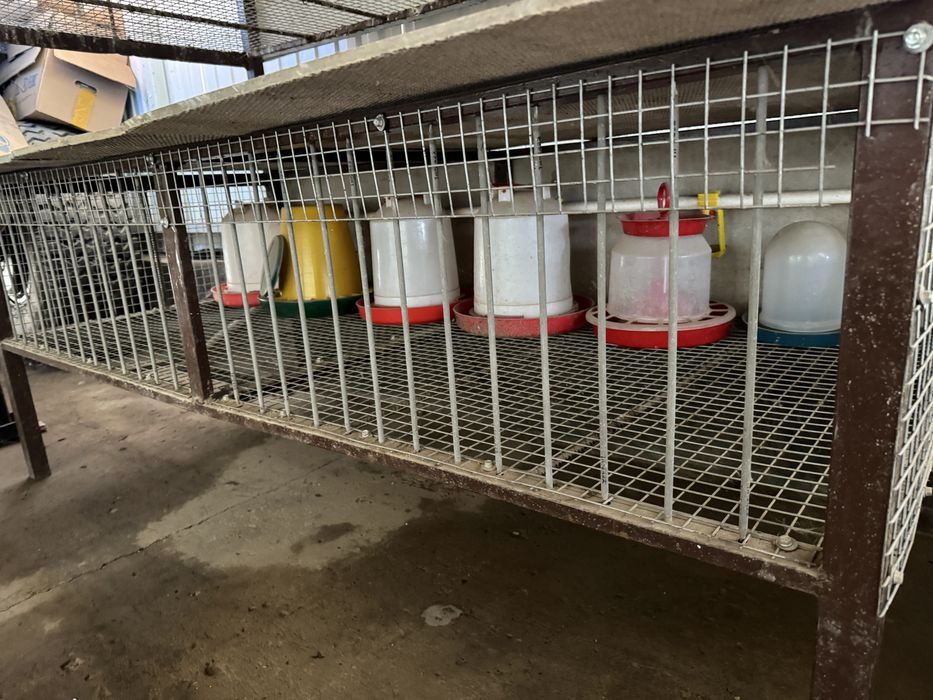 Клетки две штуки для птицы или кроликов