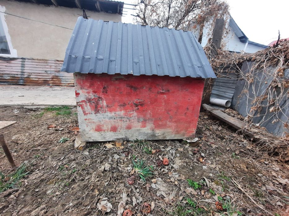 Продам бутку для собаки