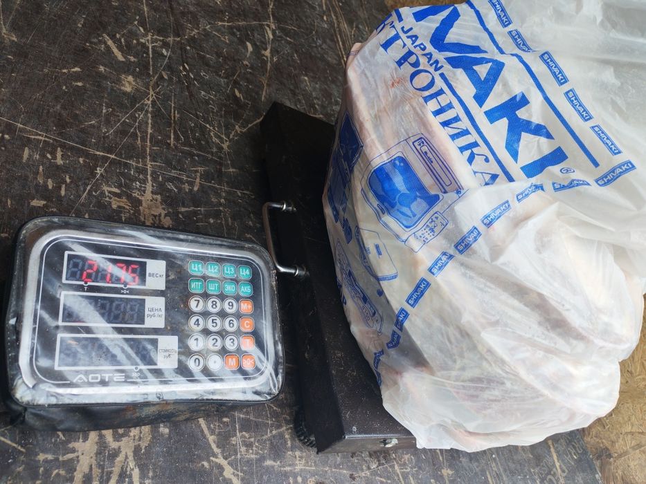 Жылкы конина мясо