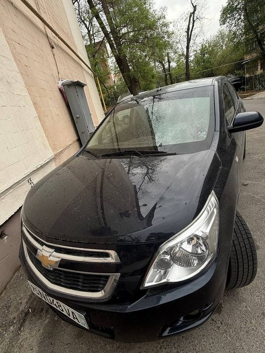 Kobilt sotiladi srochna