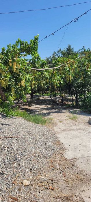 Эълон 22 сотхли ховли сотилади Куштепада