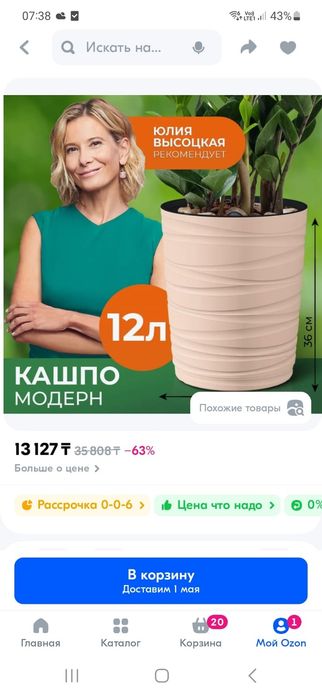 Фикус Бенджамина