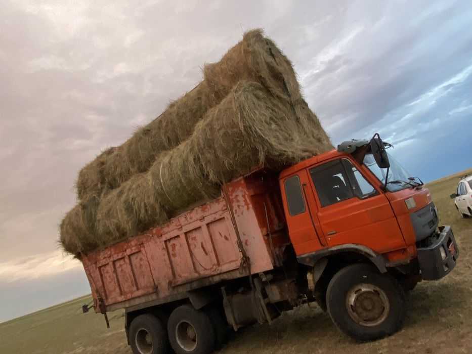 Продам сено