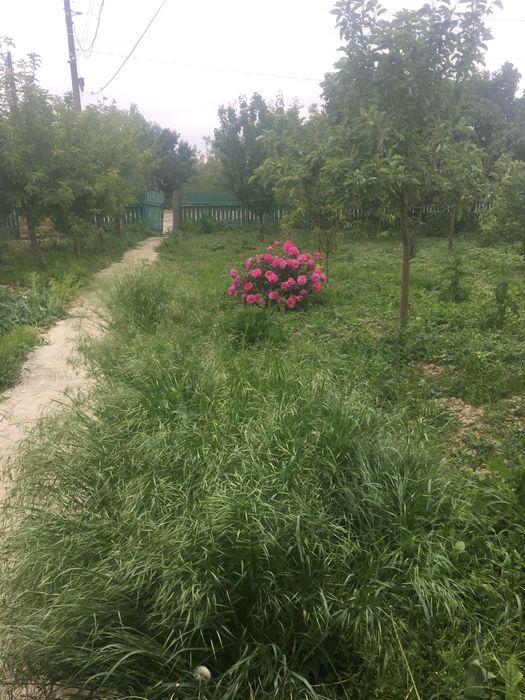 Vand teren+casa batraneasca