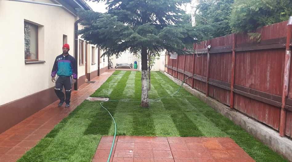 Amenajare Rapidă cu Gazon Natural și Sisteme Moderne