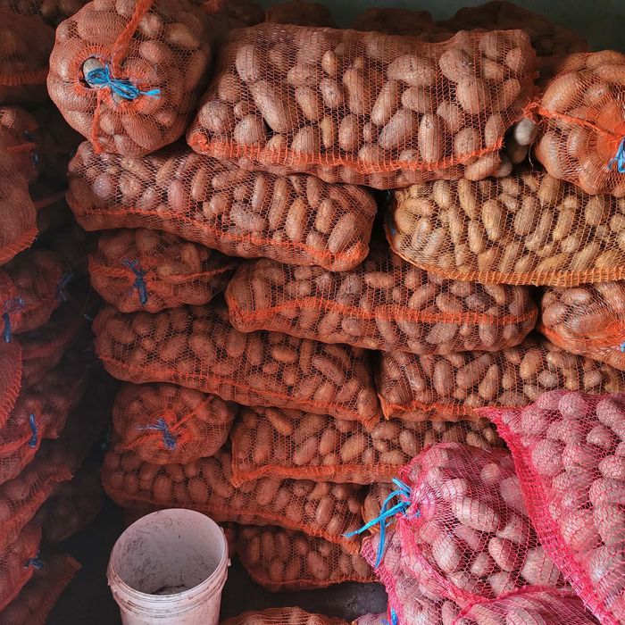 Vand cartofi de consum