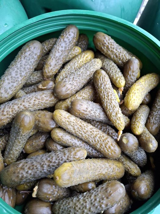 De vânzare castraveți în saramura