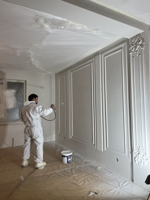 Профессиональная безвоздушная покраска