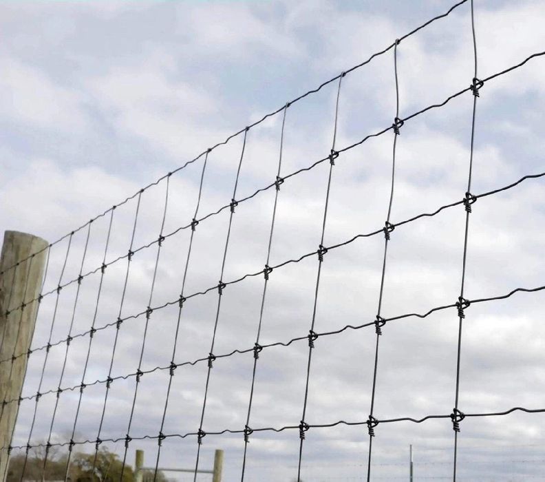 Сетка, Чабанка, шарнирный сетка, Рабица