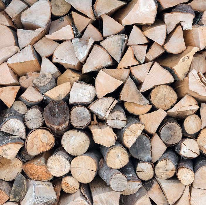 Сухи дърва за огрев