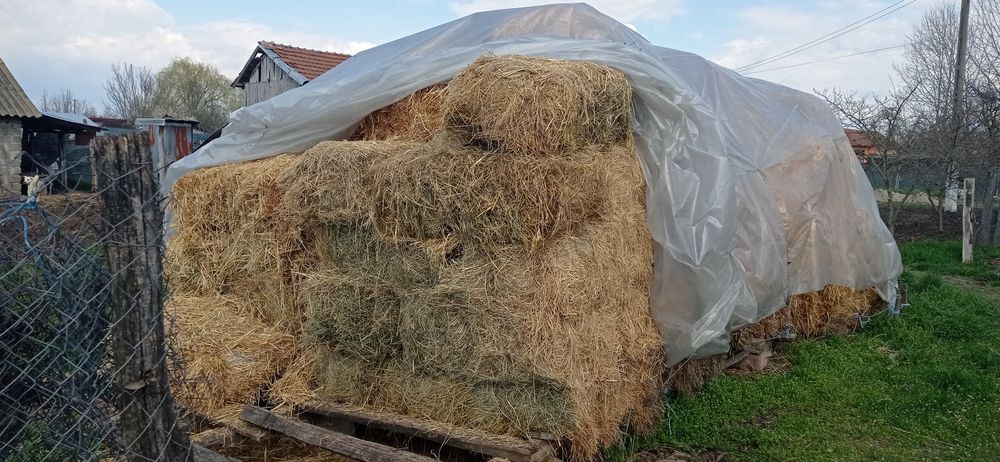 Vând baloți 14 Ron