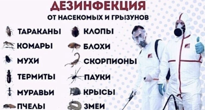 Дезенфекция дизенфекция дезинфекция дизинфекция dizinfeksiya