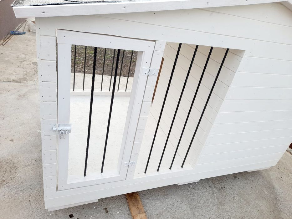 Cusca de caine complet izolata