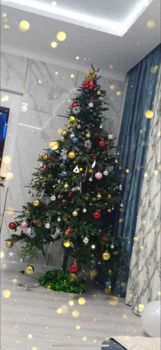 Елка! Продам Ёлку! Торг