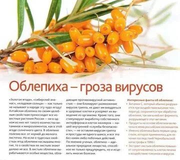 Продам концерт 1 литр тысяча тенге