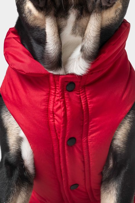 Грейка за куче LAPORA - 3 вида кройки